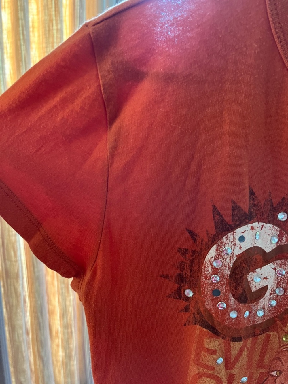 Disneyland evil queen - Picture 4 of 4